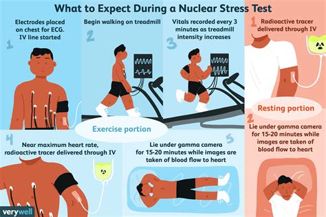 is a nuclear stress test hard on the kidneys|Precautions During and After a Nuclear Stress Test .